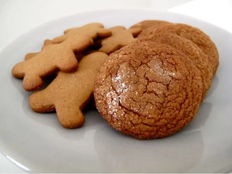 What's the difference between ginger snaps and gingerbread cookies?