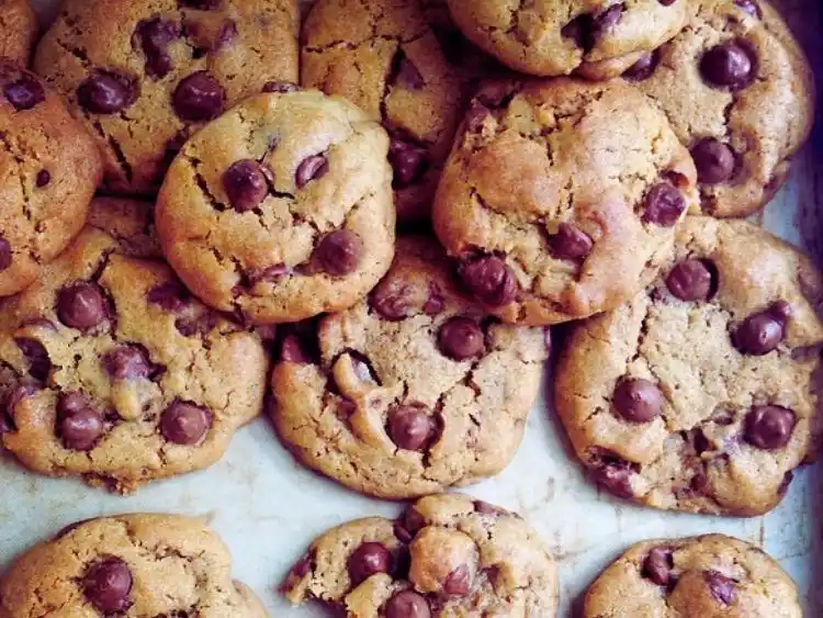 a collection of freshly baked cookies, likely chocolate chip, given the prominence of chocolate chips throughout.