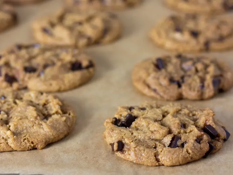 a collection of freshly baked cookies, likely chocolate chip, given the prominence of chocolate chips throughout.